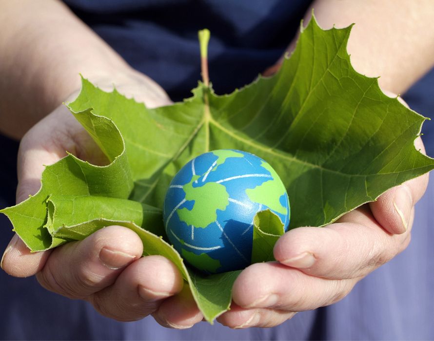 Nachhaltigkeit im Unternehmen